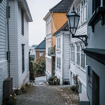 Vander Altona Bergen